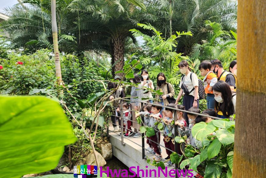 5. 부천호수식물원 수피아를 단체방문한 아이들이 열대식물과 물고기를 관찰하고 있다.jpg